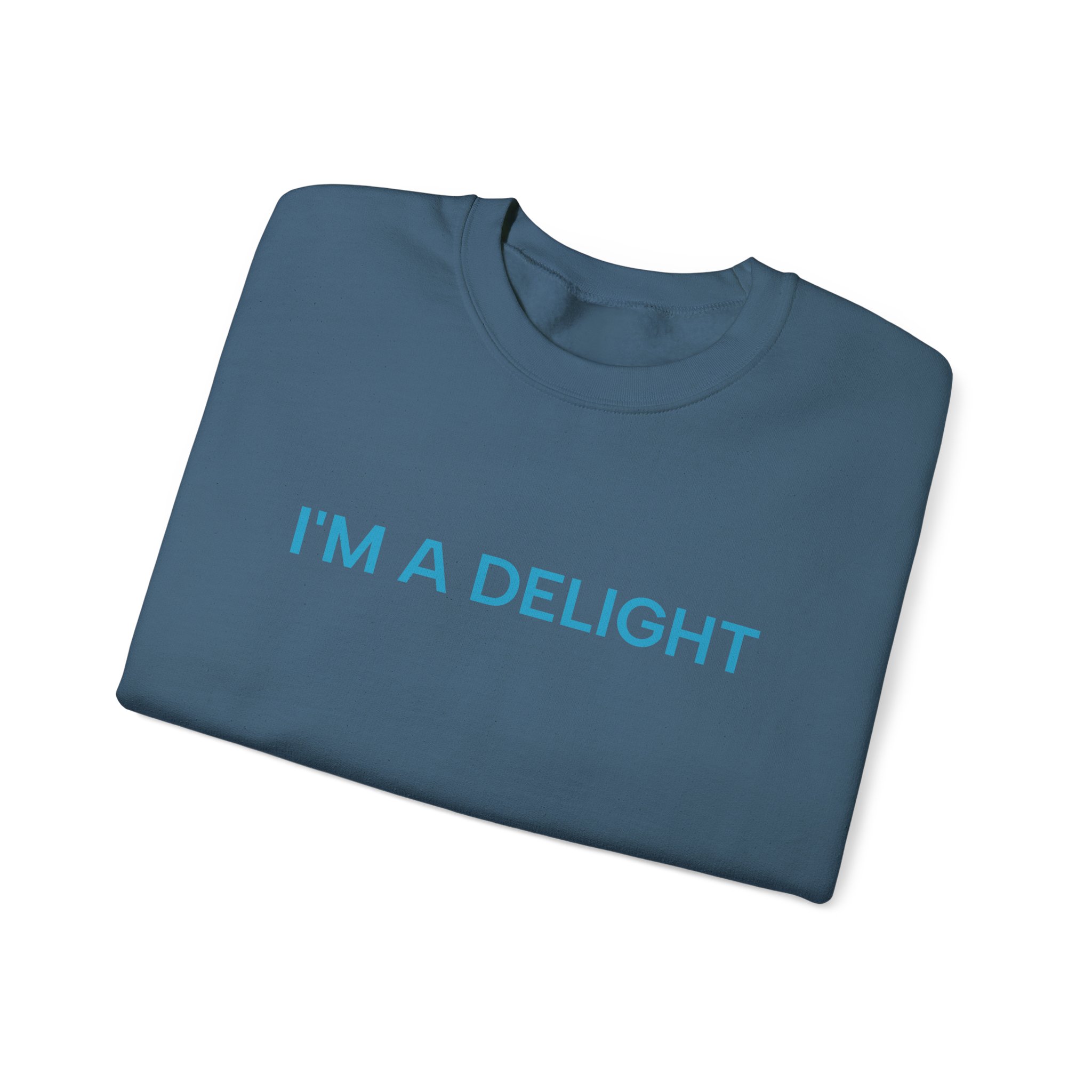 I'm a Delight Sweatshirt, Funny Cozy Graphic Pullover - Image 31