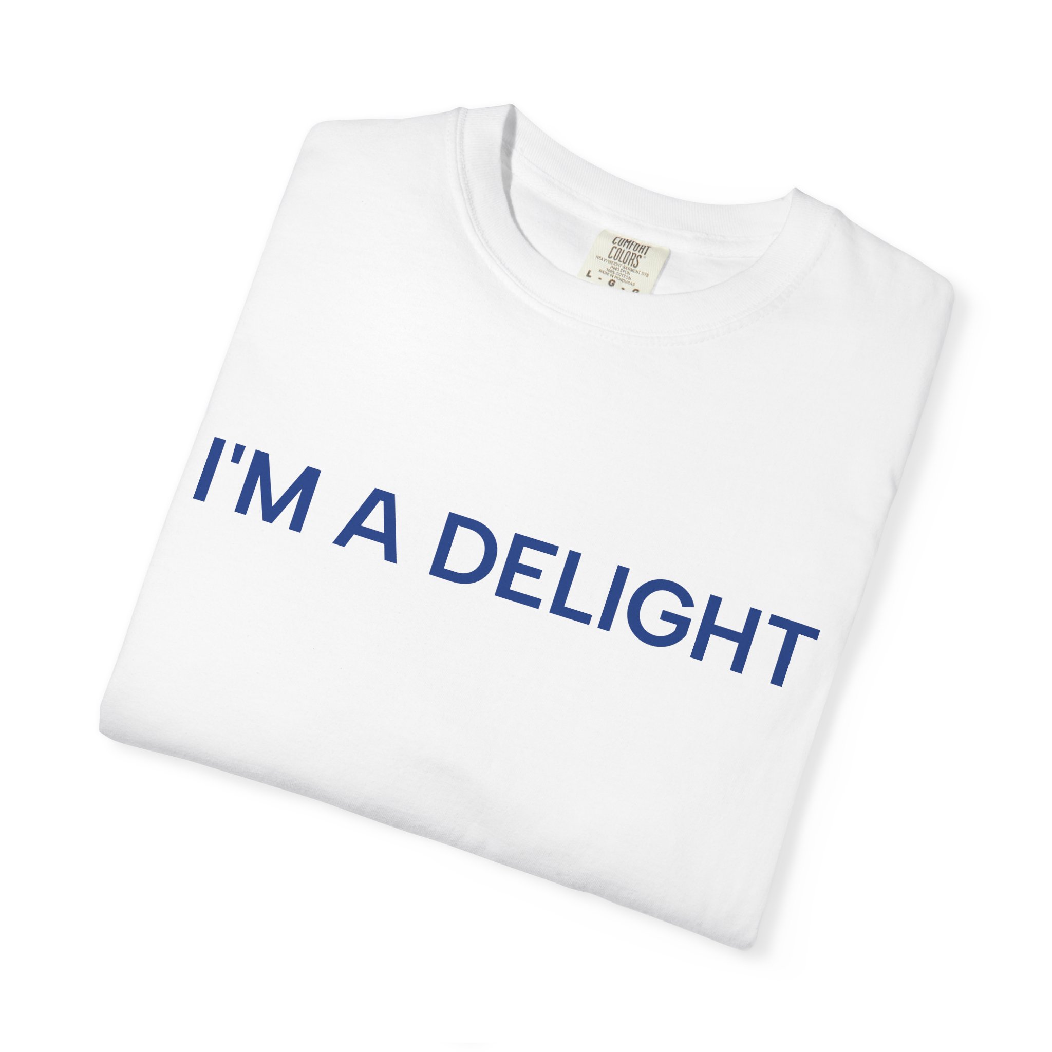 Delight T-Shirt, Funny Cozy Graphic Pullover - Image 3
