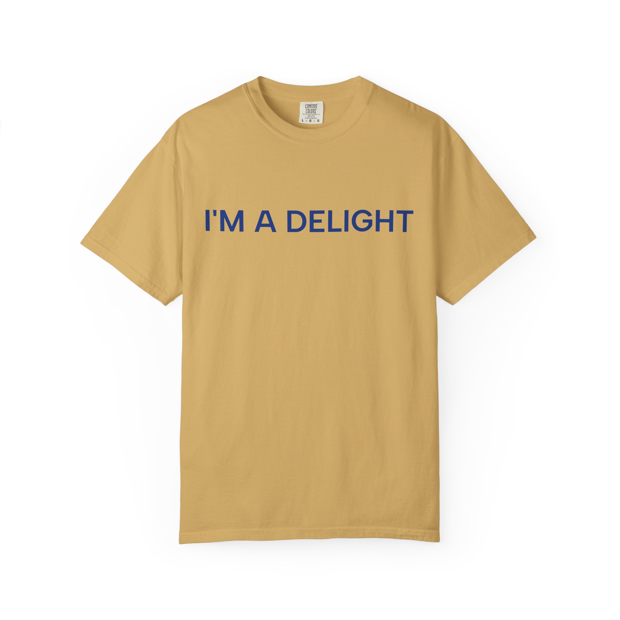 Delight T-Shirt, Funny Cozy Graphic Pullover - Image 9