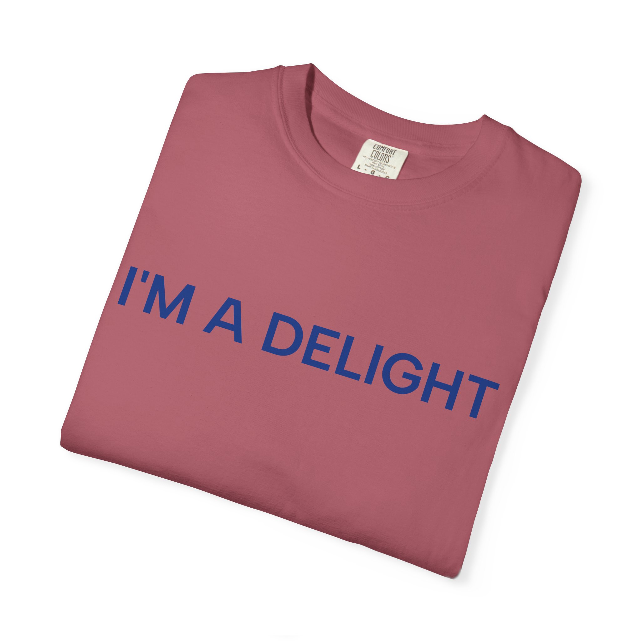 Delight T-Shirt, Funny Cozy Graphic Pullover - Image 47