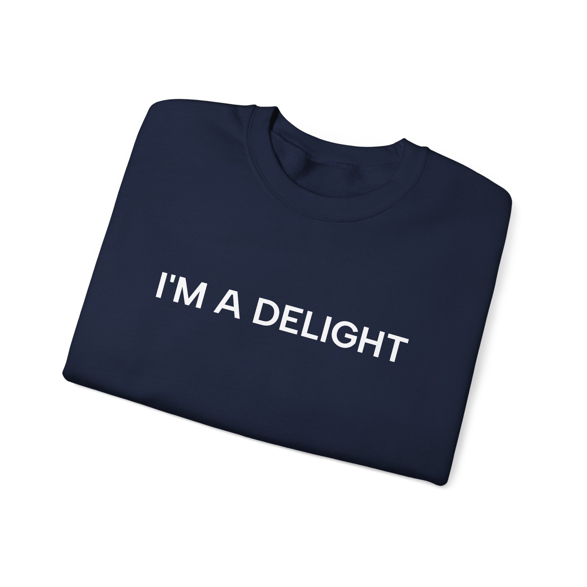 I'm a Delight Sweatshirt, Funny Cozy Graphic Pullover - Image 43