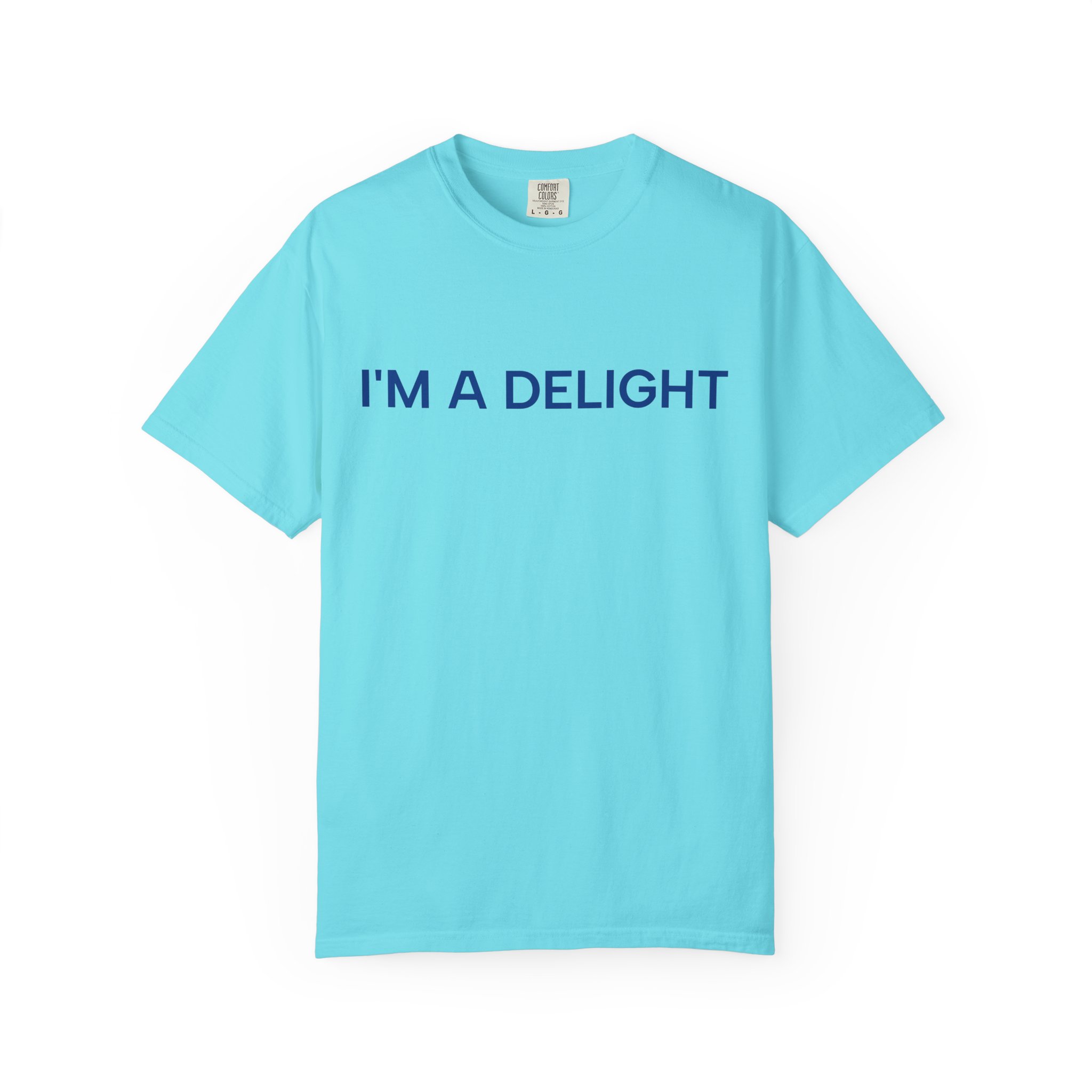 Delight T-Shirt, Funny Cozy Graphic Pullover - Image 25