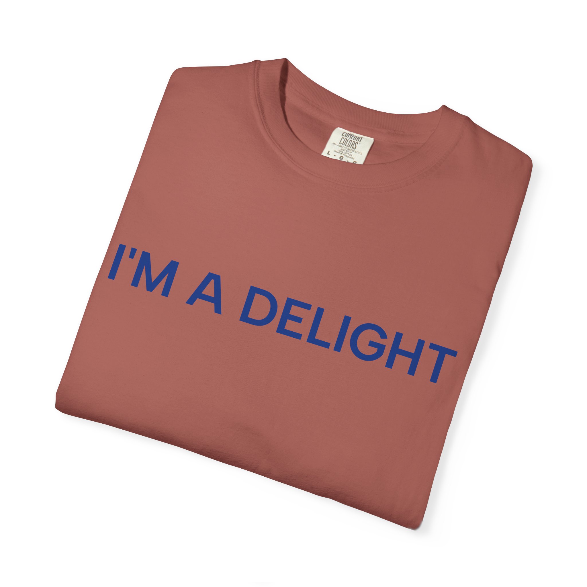 Delight T-Shirt, Funny Cozy Graphic Pullover - Image 51