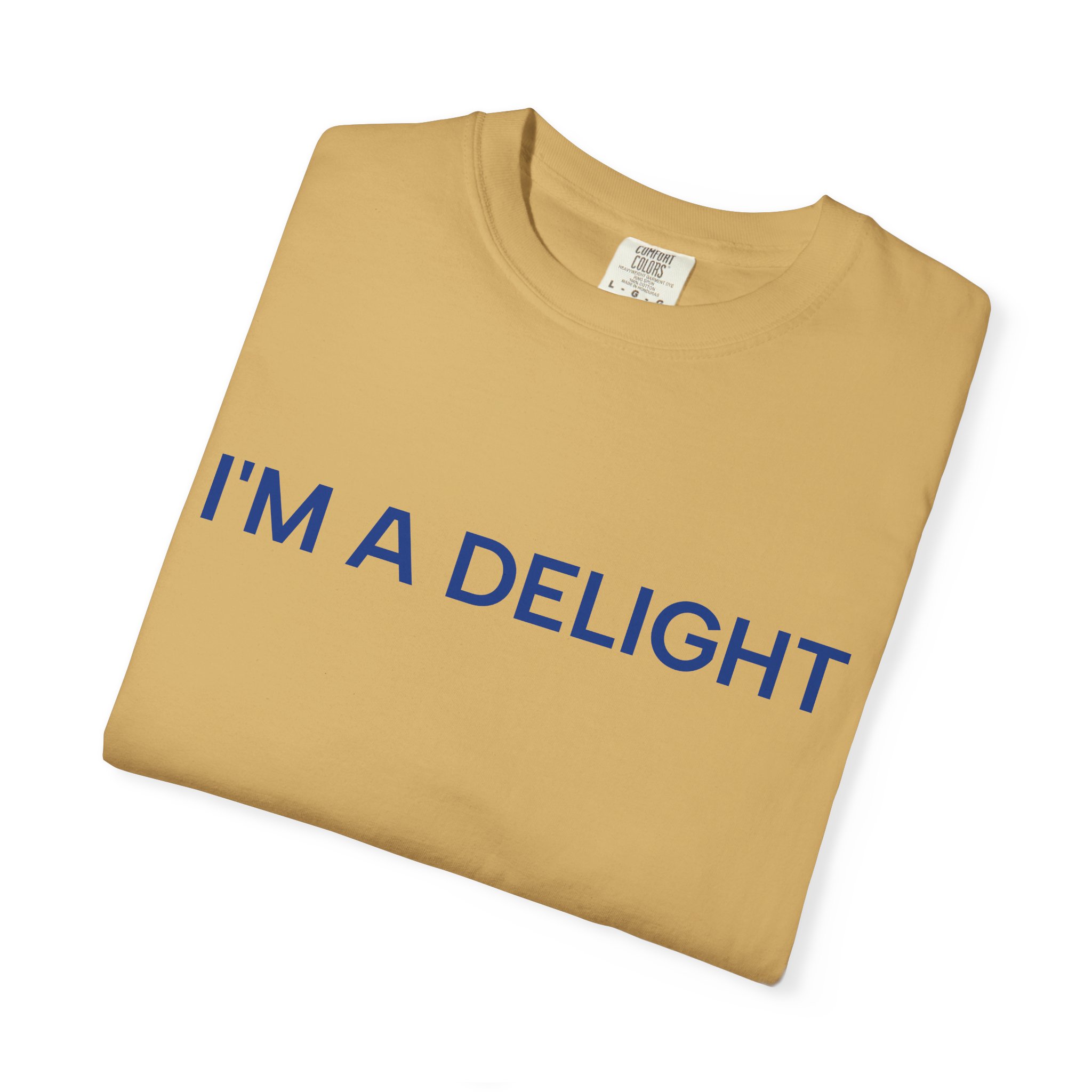 Delight T-Shirt, Funny Cozy Graphic Pullover - Image 11