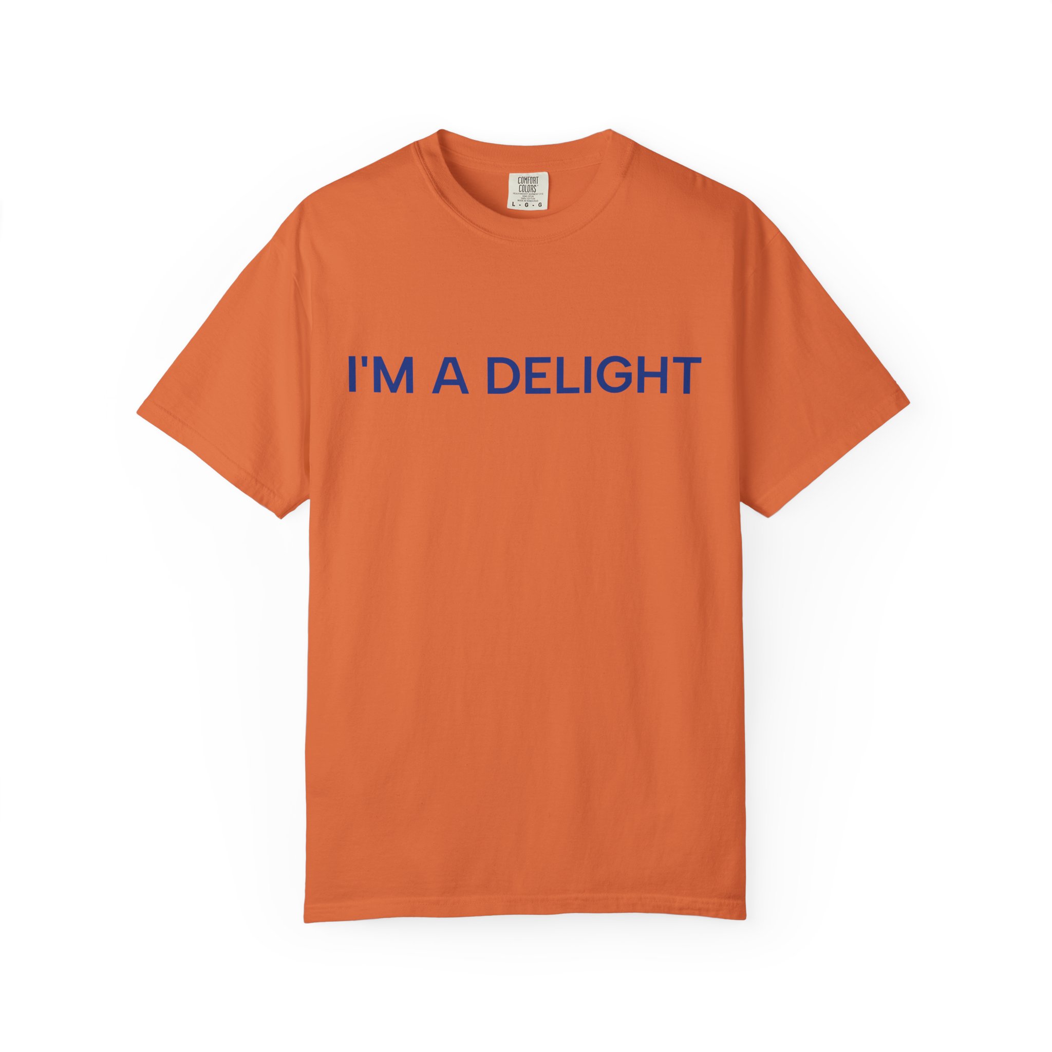 Delight T-Shirt, Funny Cozy Graphic Pullover - Image 13