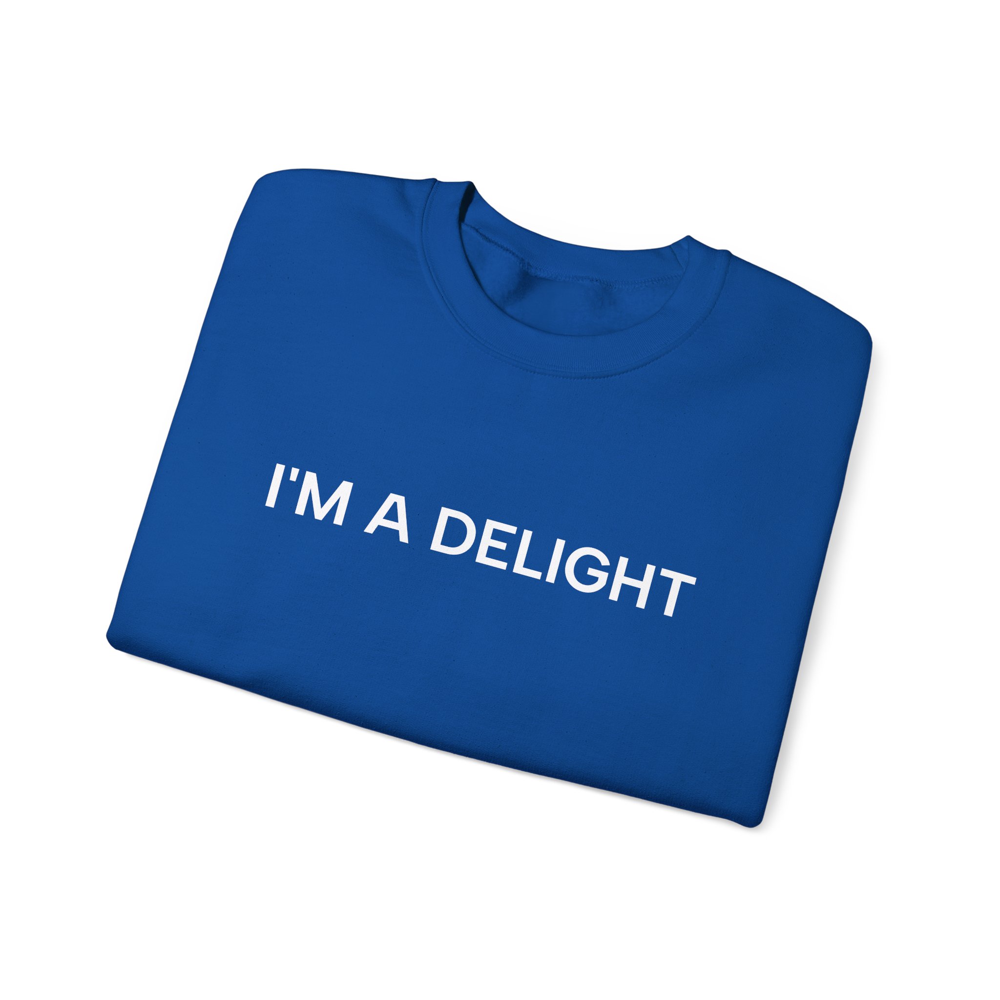 I'm a Delight Sweatshirt, Funny Cozy Graphic Pullover - Image 39