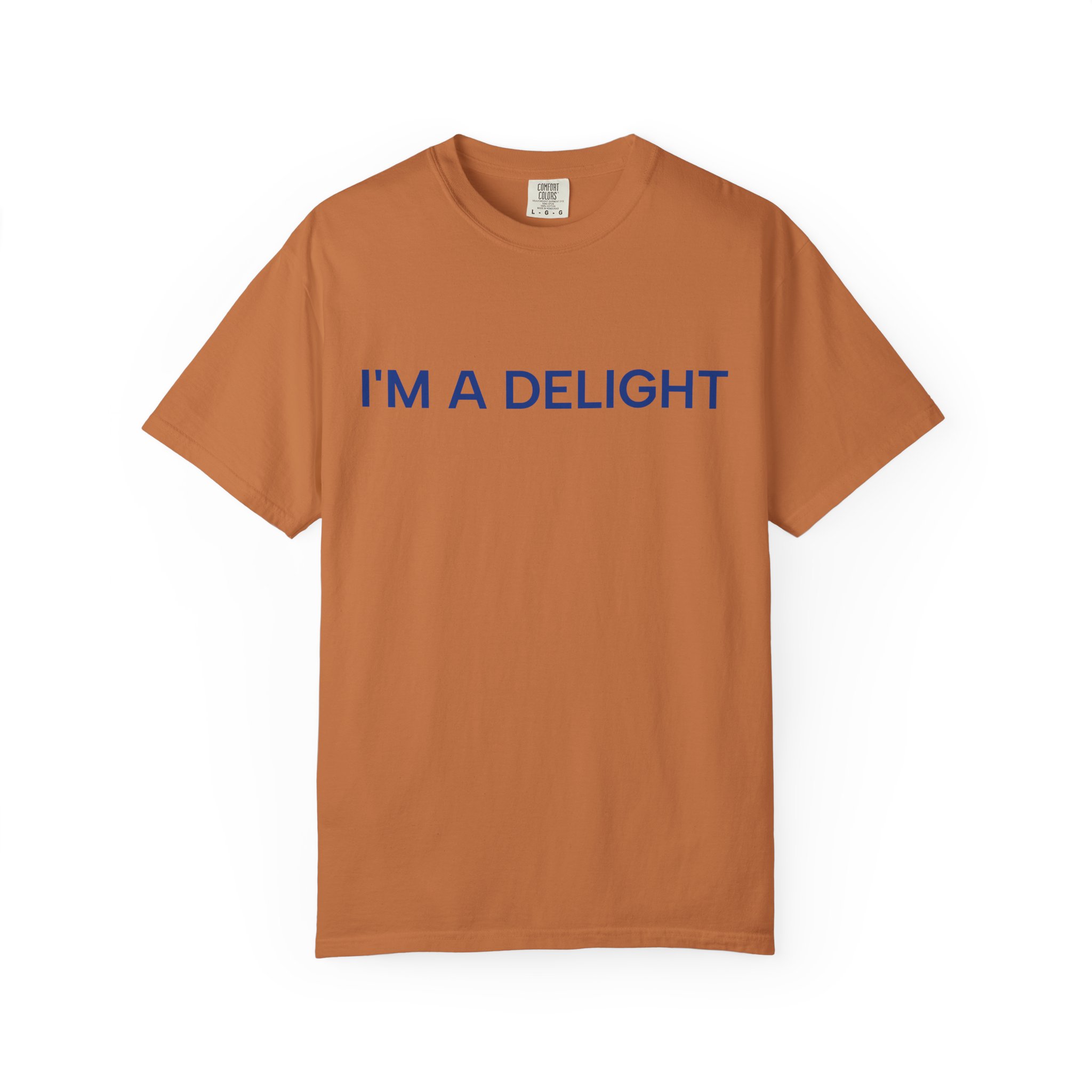 Delight T-Shirt, Funny Cozy Graphic Pullover - Image 17