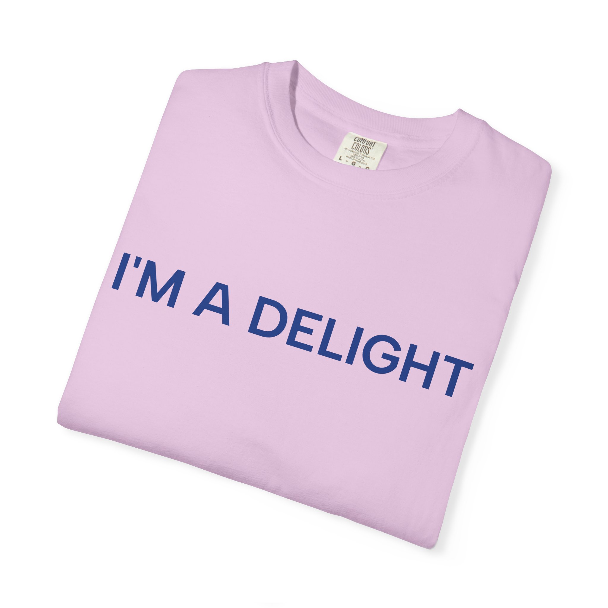 Delight T-Shirt, Funny Cozy Graphic Pullover - Image 43