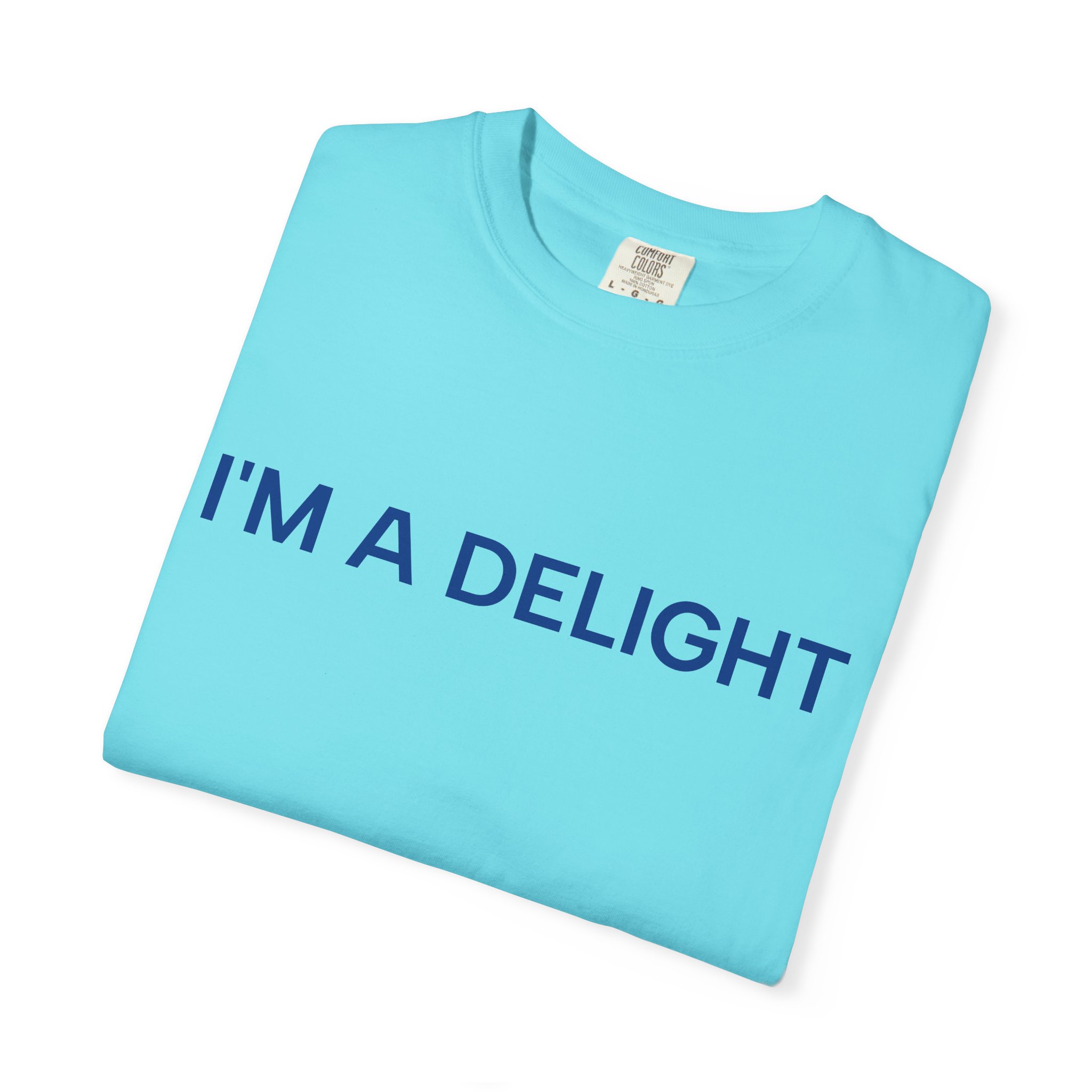 Delight T-Shirt, Funny Cozy Graphic Pullover - Image 27