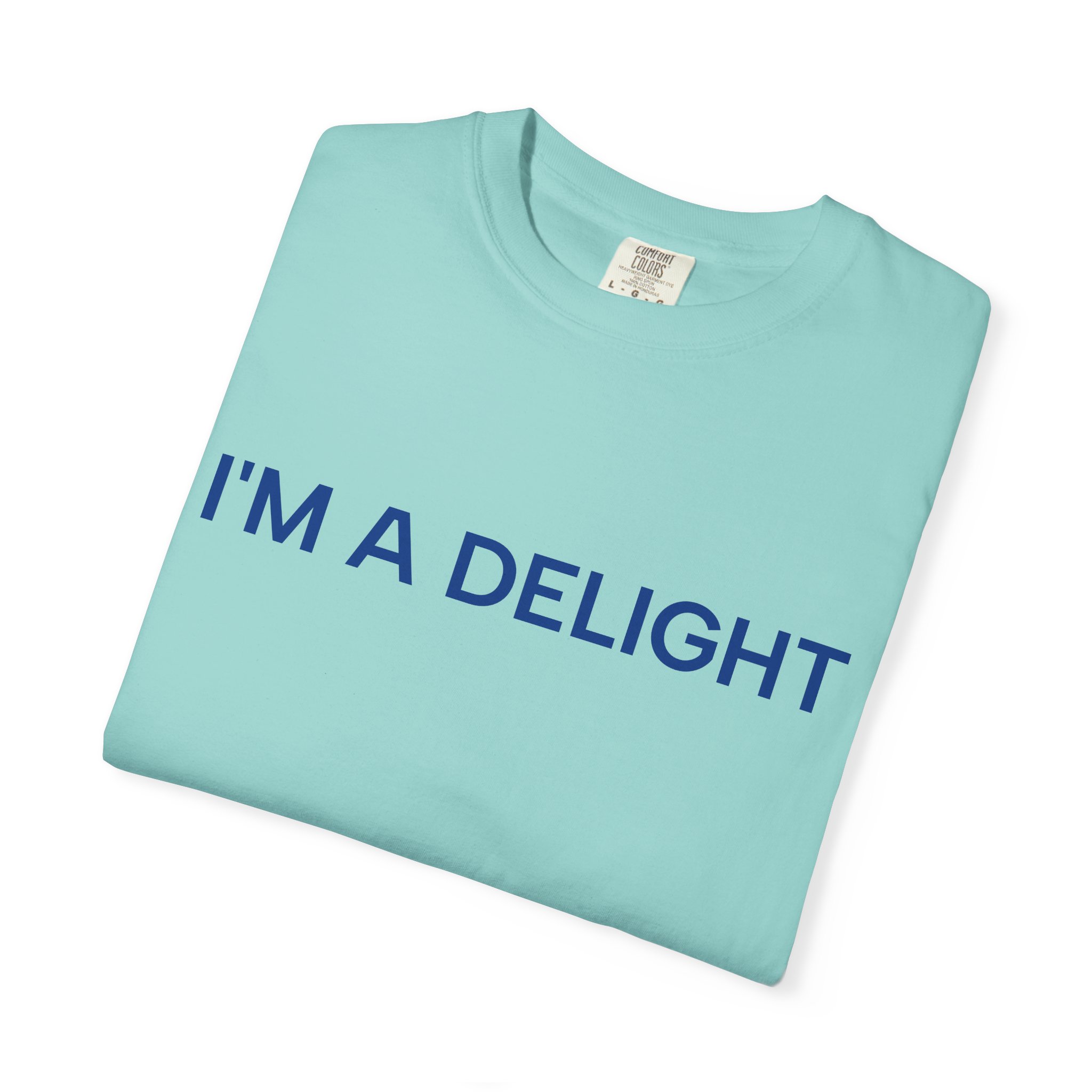 Delight T-Shirt, Funny Cozy Graphic Pullover - Image 23