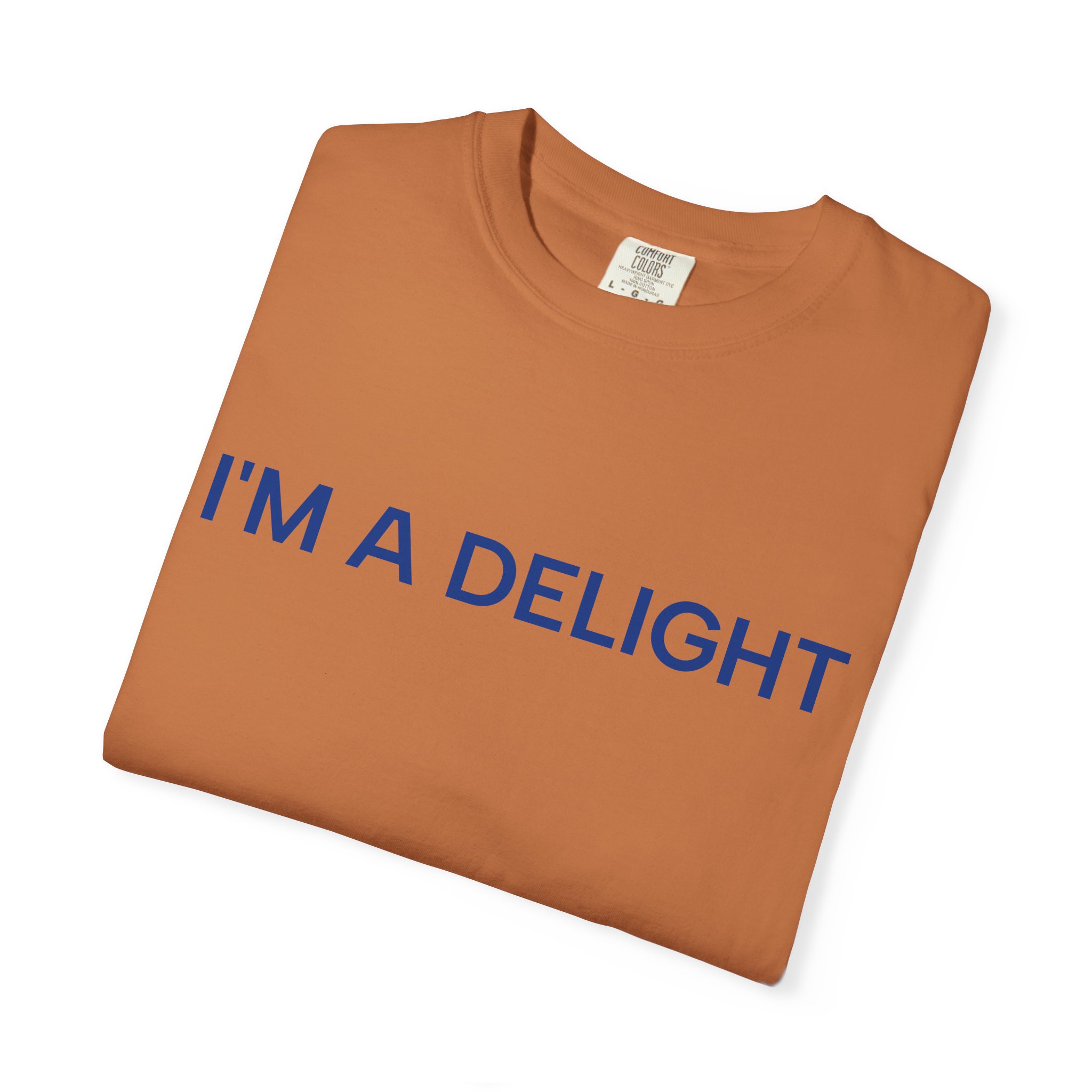Delight T-Shirt, Funny Cozy Graphic Pullover - Image 19