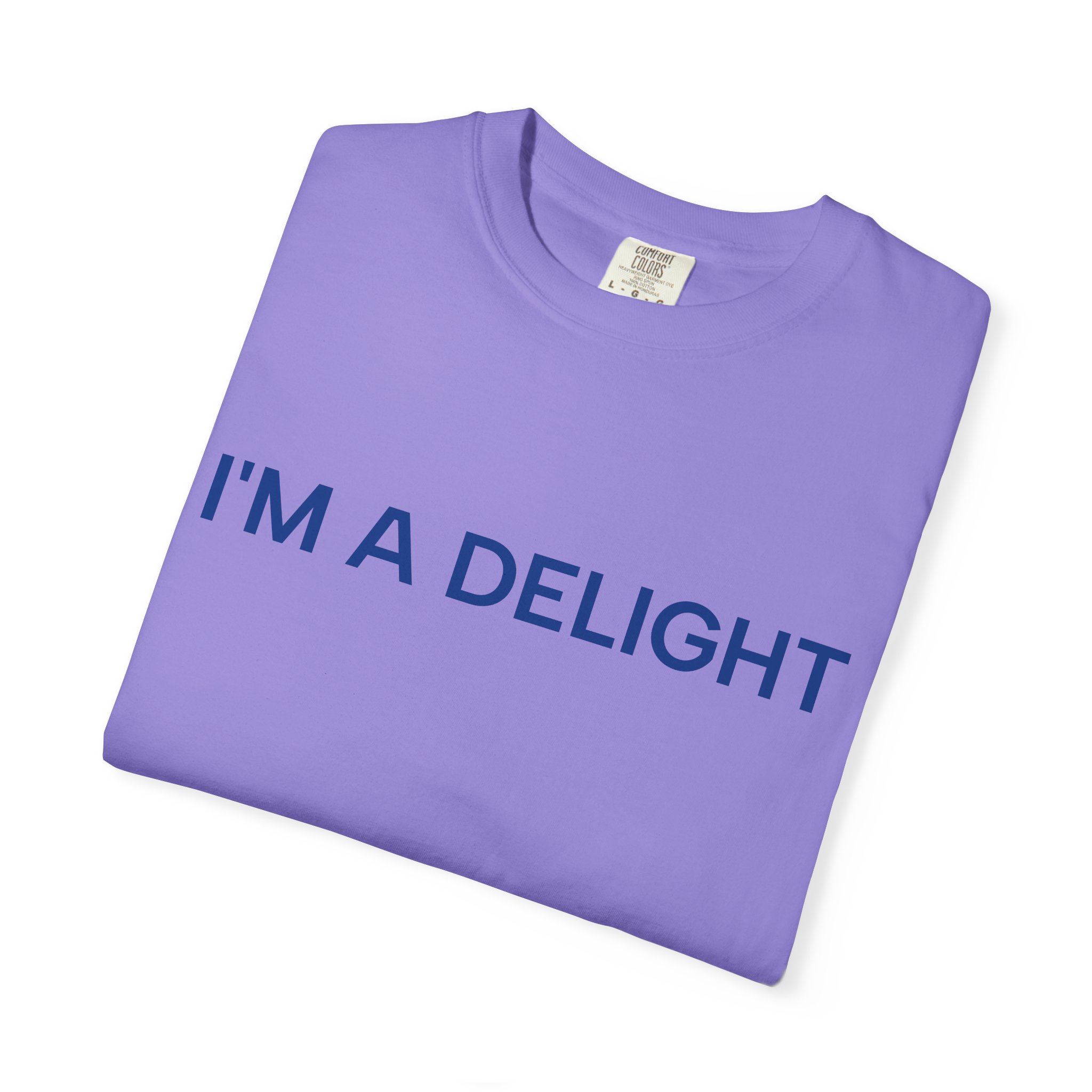 Delight T-Shirt, Funny Cozy Graphic Pullover - Image 39
