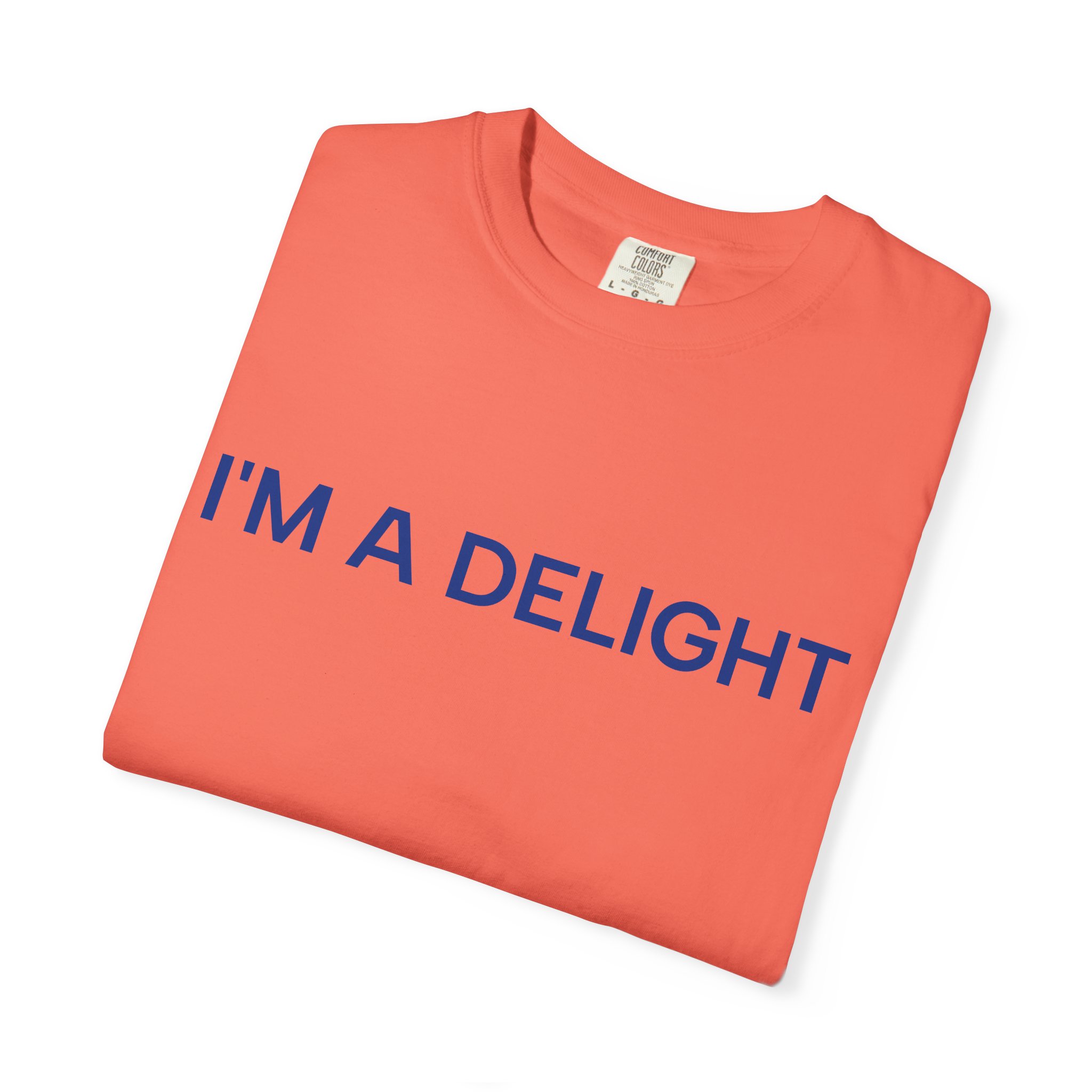 Delight T-Shirt, Funny Cozy Graphic Pullover - Image 7