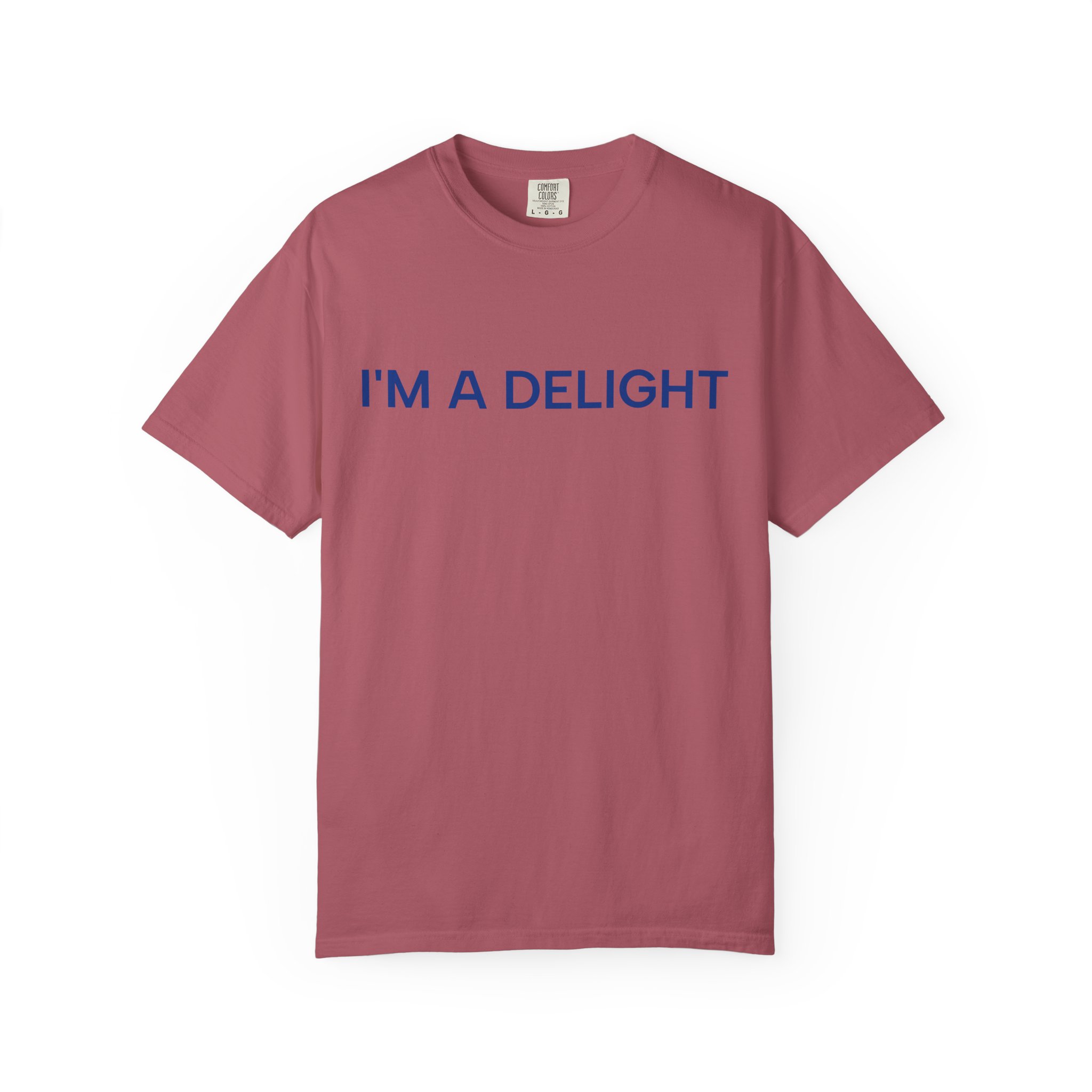Delight T-Shirt, Funny Cozy Graphic Pullover - Image 45